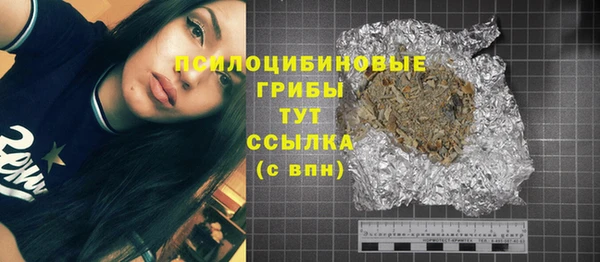 2c-b Алзамай