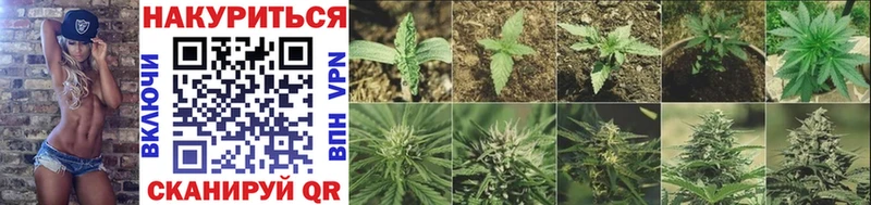 Бошки Шишки семена  цены наркотик  Инсар 